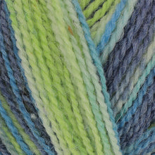 Load image into Gallery viewer, King Cole Homespun Prism DK