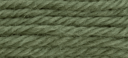 Anchor Tapestry Wool 08802 - 09198